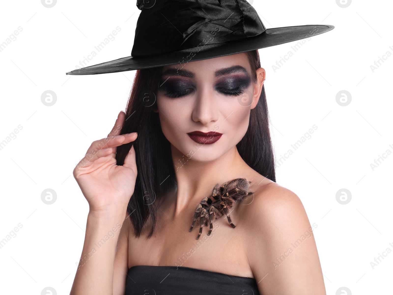 Photo of Mysterious witch in hat with spider on white background