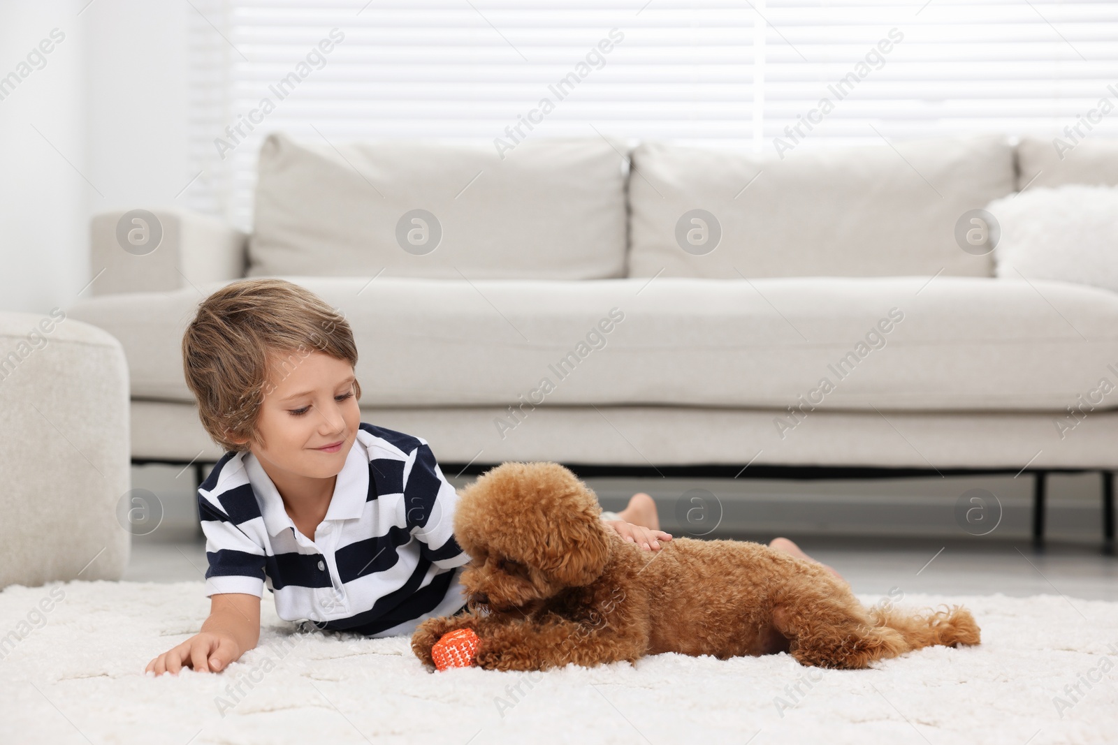 Photo of Little child and cute puppy on carpet at home. Lovely pet