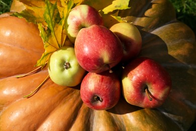 Photo of Ripe pumpkin and apples as background, closeup. Autumn harvest