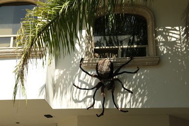 Photo of Big creepy spider hanging from window of apartment. Halloween decor