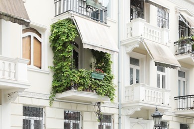 Photo of Beautiful building with balcony overgrown by green plants