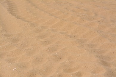 Texture of sandy beach as background, closeup