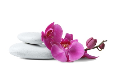 Spa stones and orchid flowers on white background