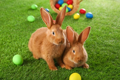 Photo of Cute bunnies and Easter eggs on green grass