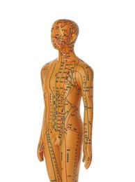 Photo of Acupuncture model. Male mannequin with dots and lines isolated on white