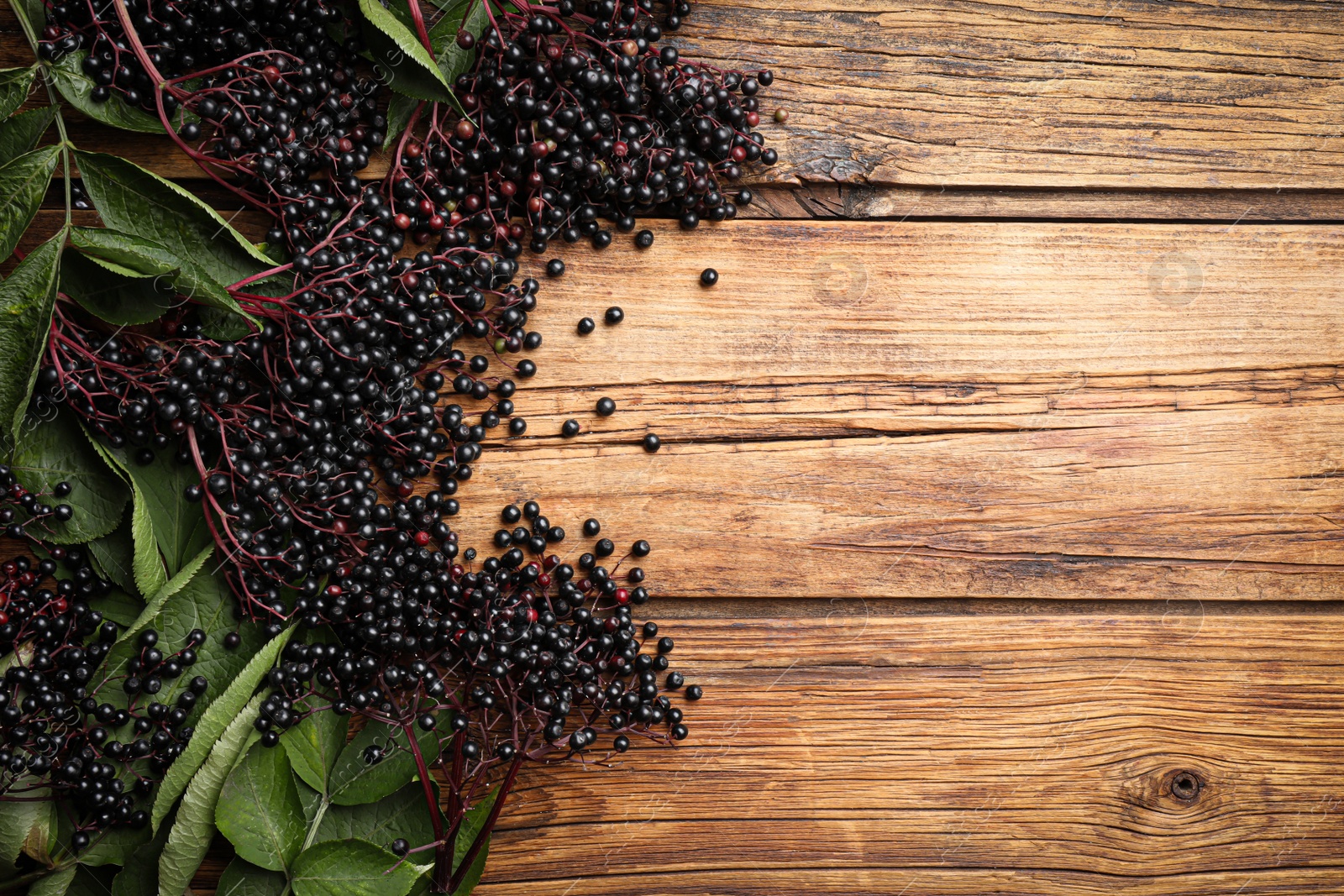 Photo of Elderberries (Sambucus) with green leaves on wooden table, flat lay. Space for text