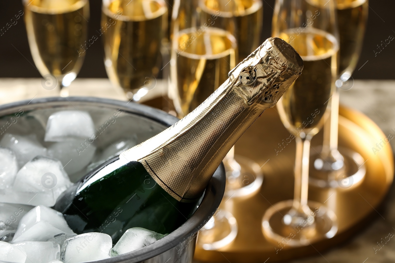 Photo of Bottle of champagne in bucket with ice cubes on table, closeup