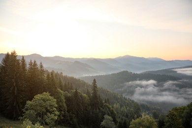 Photo of Picturesque view of beautiful foggy mountains in morning