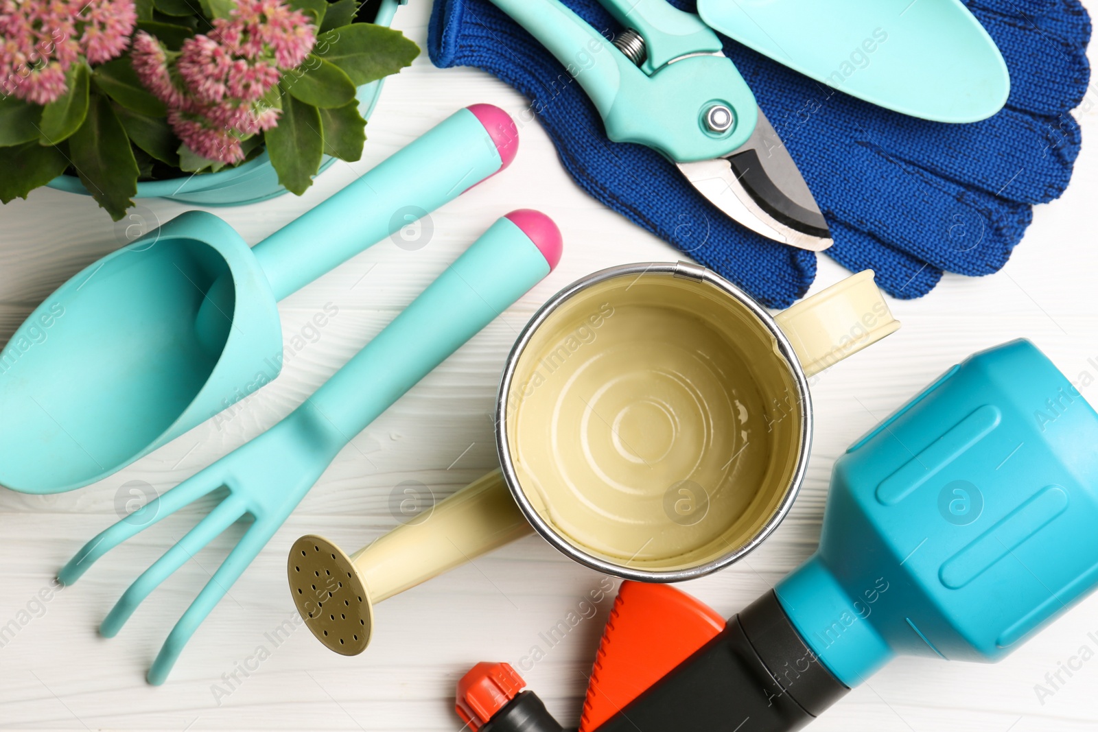 Photo of Flat lay composition with watering can and gardening tools on white wooden table