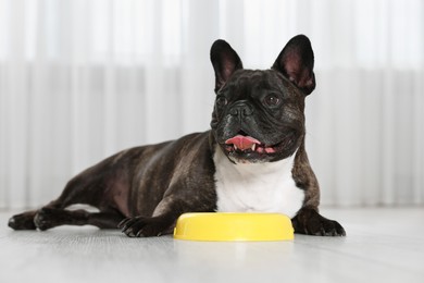 Photo of Adorable French Bulldog near yellow bowl indoors. Lovely pet