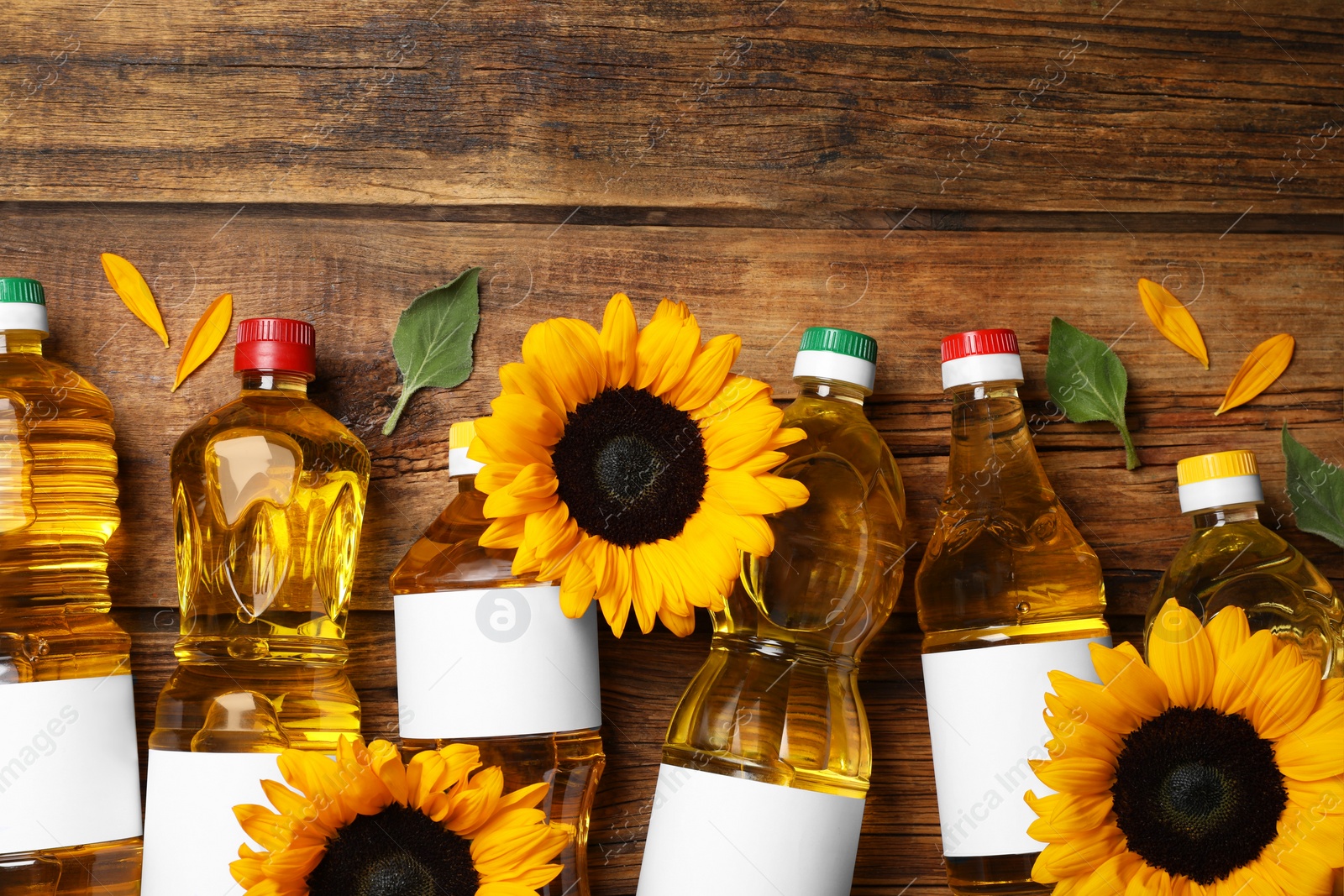 Photo of Bottles of sunflower cooking oil and beautiful flowers on wooden table, flat lay. Space for text