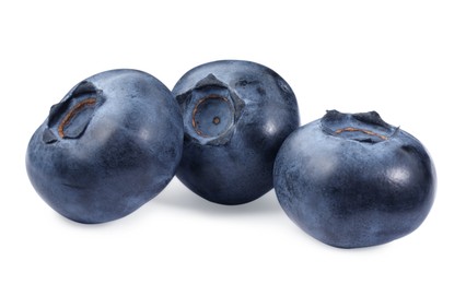 Three fresh ripe blueberries isolated on white