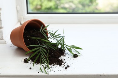 Photo of Overturned terracotta flower pot with soil and plant on white windowsill indoors