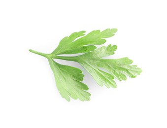 Photo of Sprig of fresh green parsley leaves isolated on white, top view
