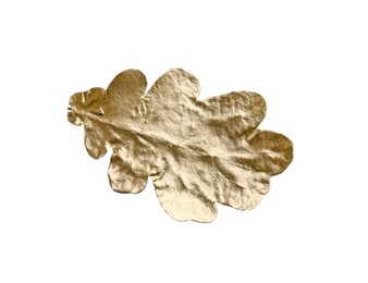 One golden oak leaf isolated on white. Autumn season