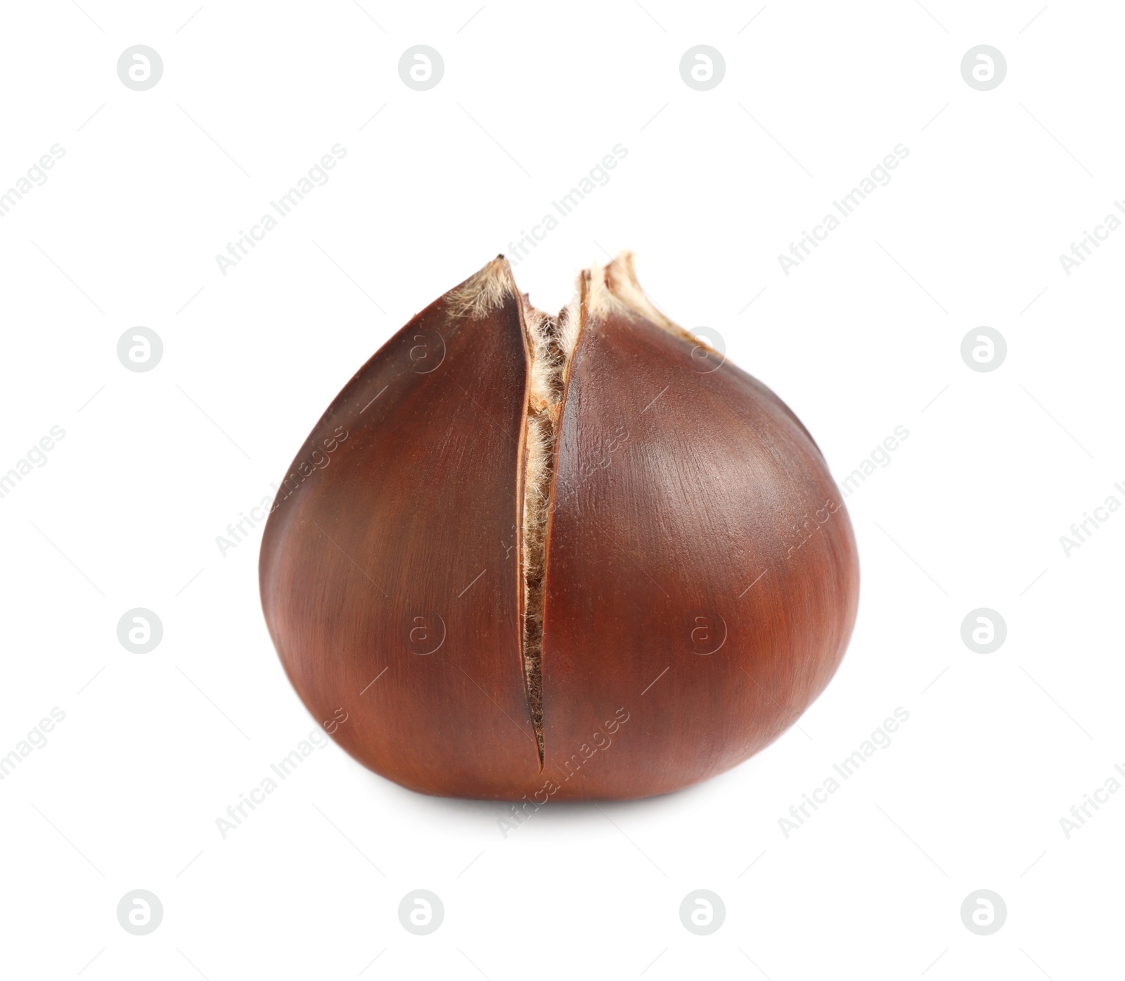 Photo of Delicious sweet roasted edible chestnut isolated on white