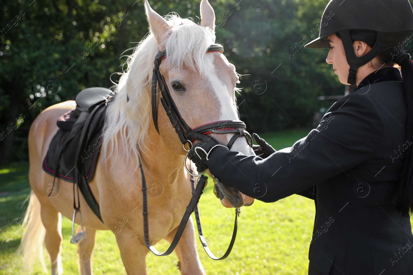 Photo of Young woman in horse riding suit and her beautiful pet outdoors on sunny day