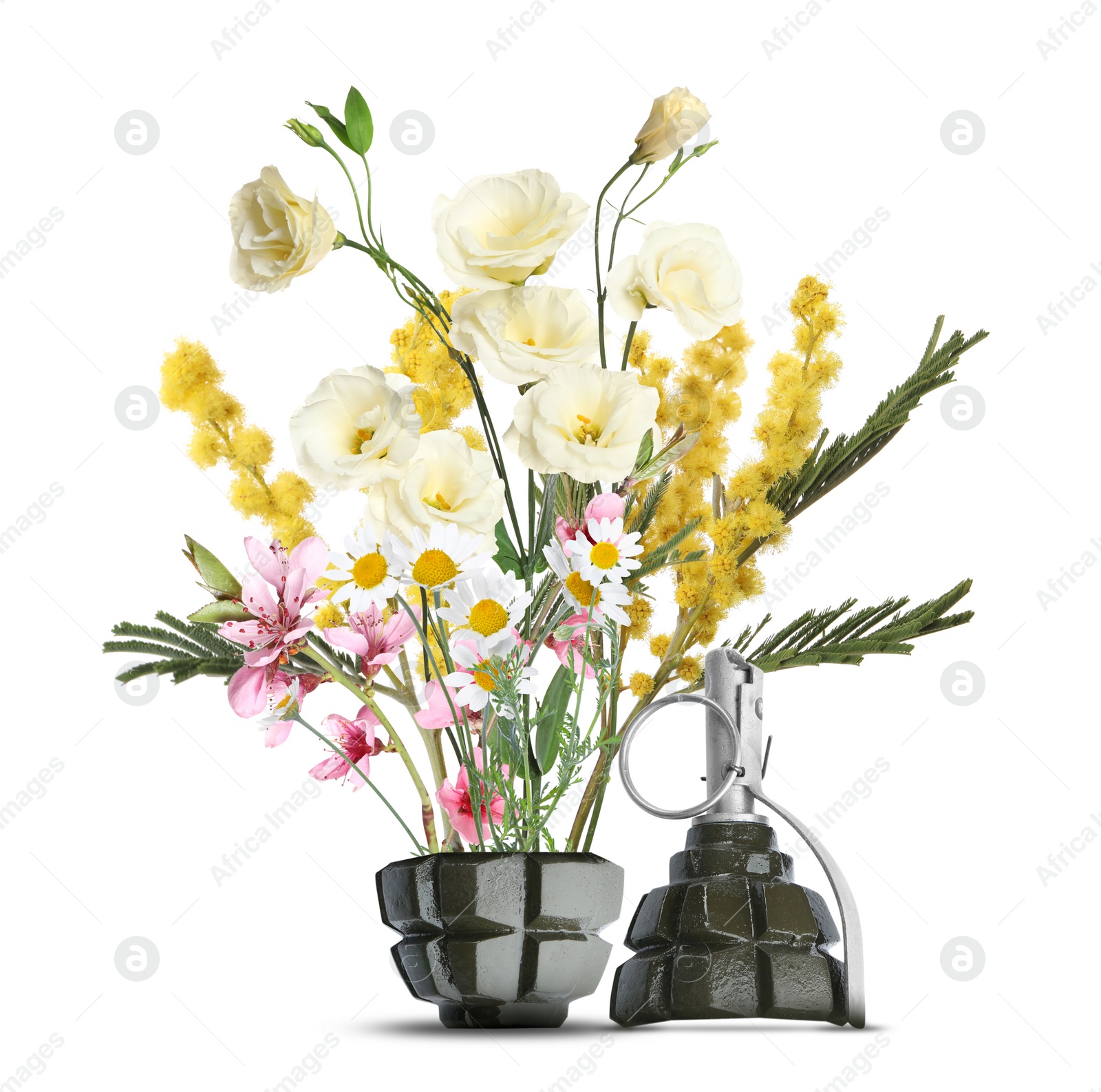 Image of Beautiful blooming flowers and hand grenade on white background. Peace instead of war