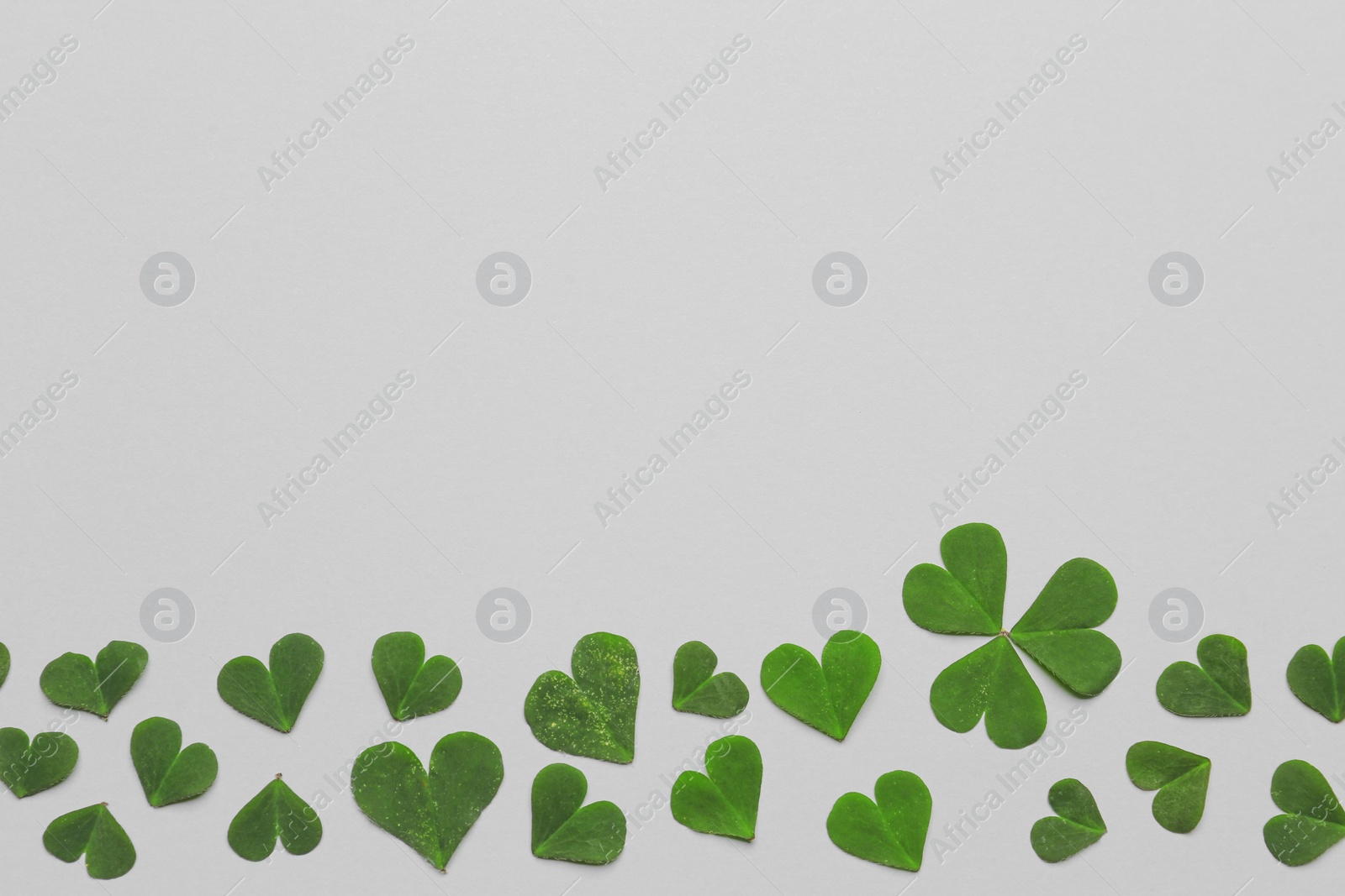 Photo of Composition with clover on white background, top view