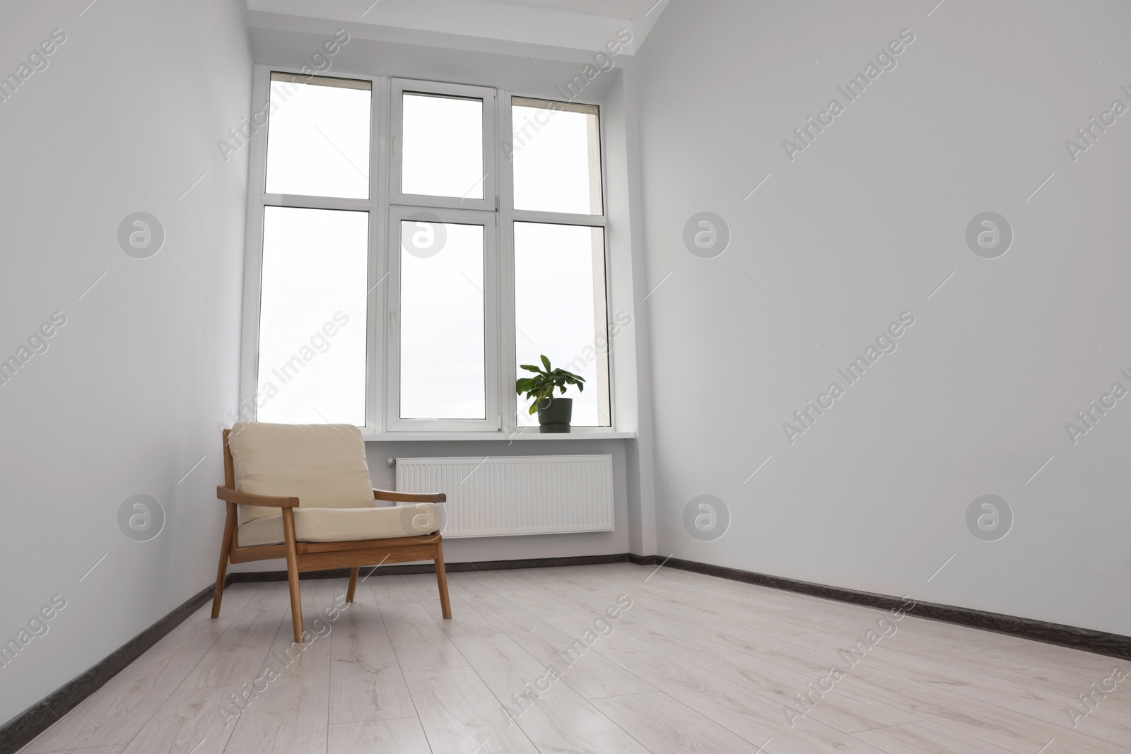 Photo of Empty renovated room with potted houseplant, armchair and windows