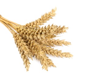 Bunch of dried wheat on white background