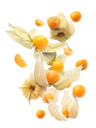 Ripe orange physalis fruits with calyx falling on white background