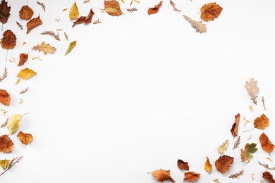 Frame of dry autumn leaves on white background, flat lay. Space for text