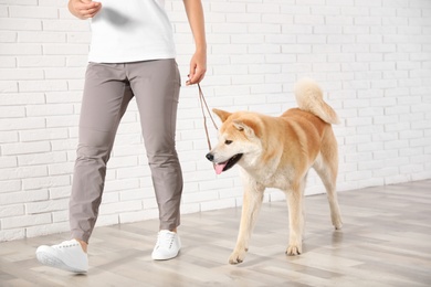 Young woman with adorable Akita Inu dog indoors. Champion training