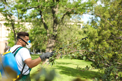 Photo of Worker spraying pesticide onto tree outdoors. Pest control