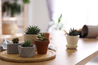 Photo of Beautiful potted plants on wooden table at home, space for text. Engaging hobby