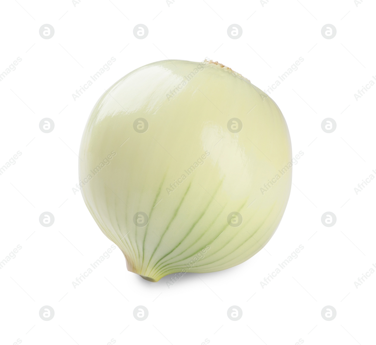 Photo of Fresh ripe onion bulb on white background