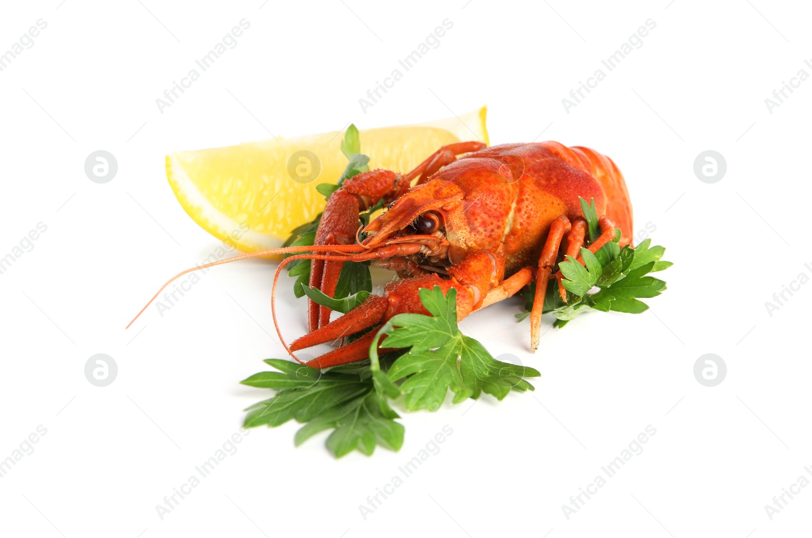 Photo of Delicious red boiled crayfish with lemon and parsley isolated on white