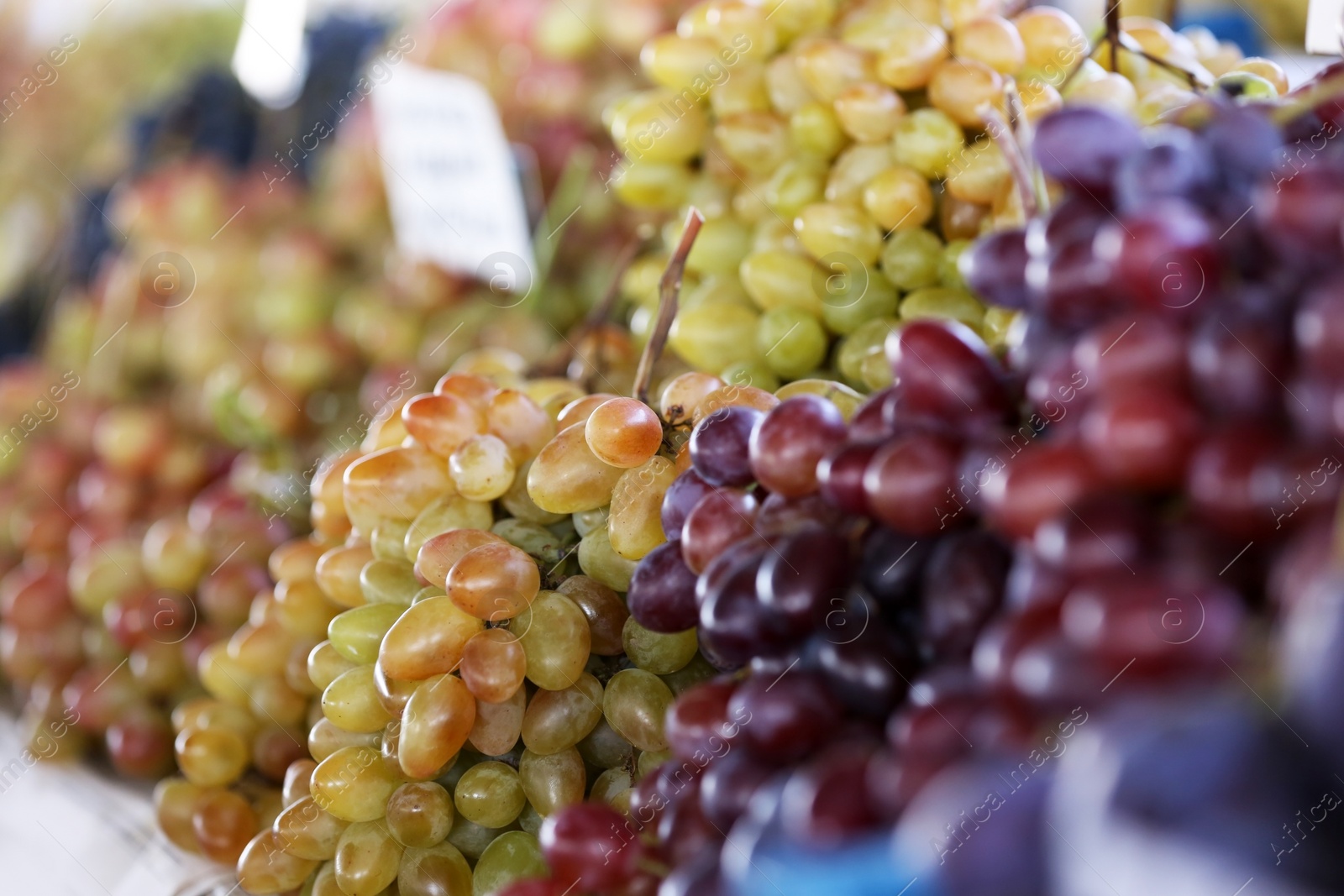 Photo of Fresh ripe juicy grapes on counter at market