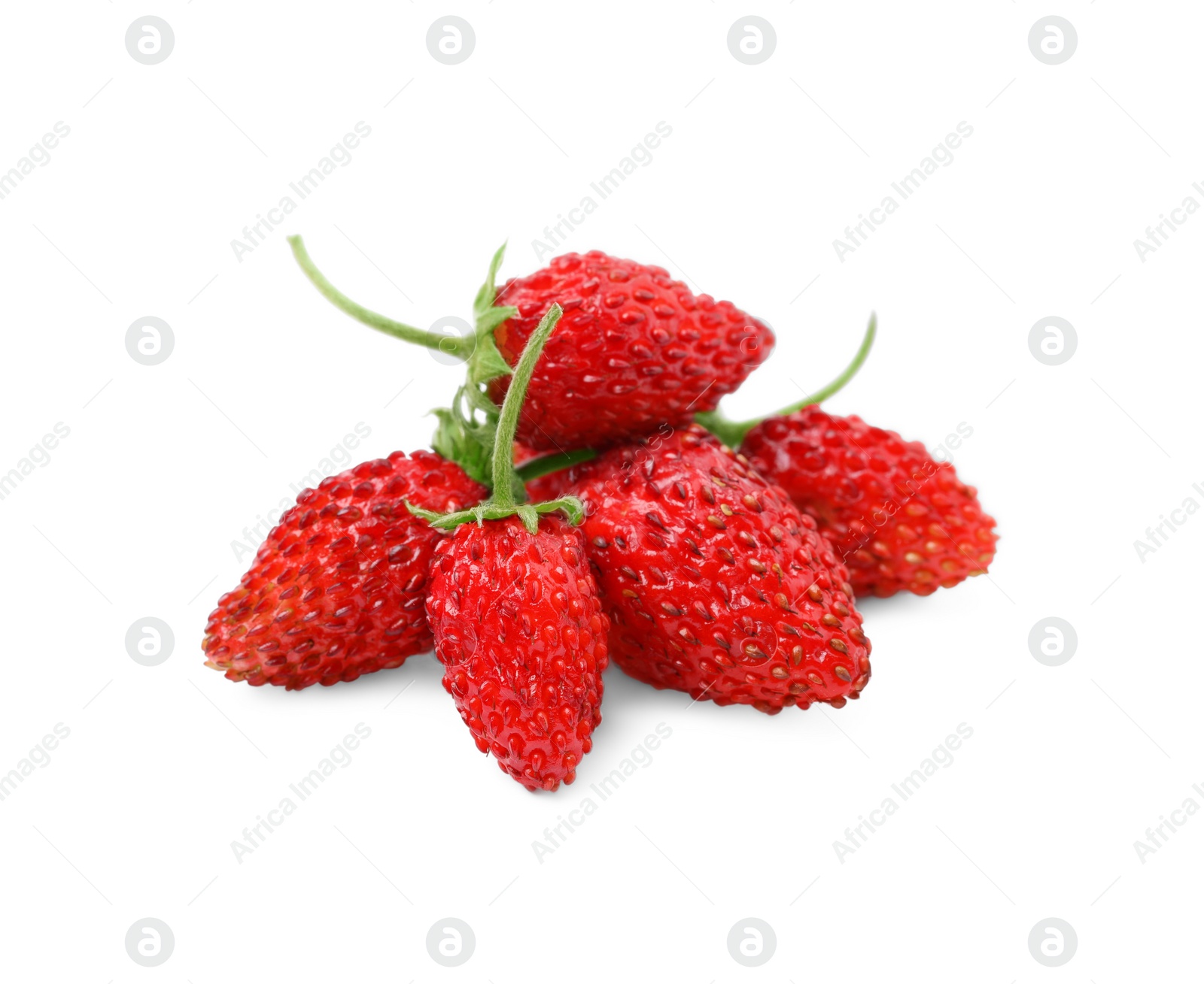 Photo of Ripe red wild strawberries isolated on white