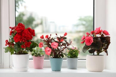 Different beautiful flowers in pots on windowsill indoors