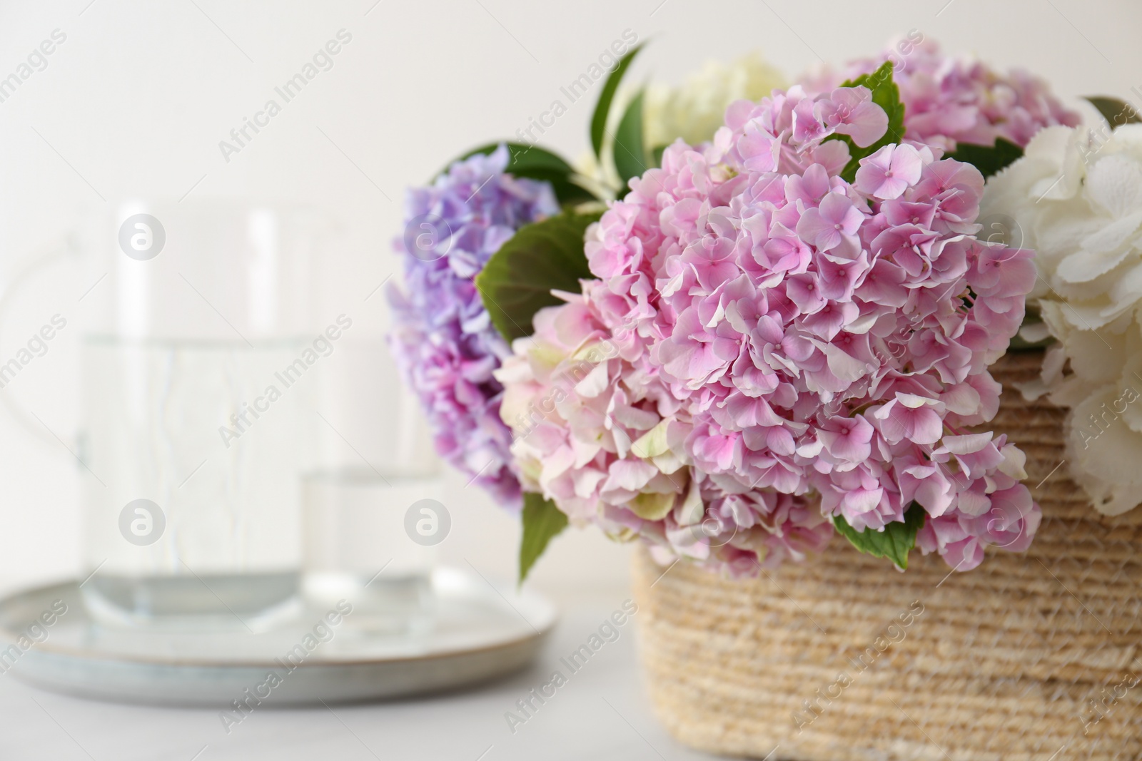 Photo of Beautiful hydrangea flowers in basket on light table, closeup
