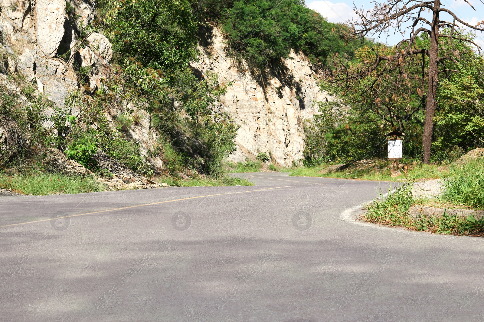 Photo of Empty asphalted road near steep cliff and trees outdoors