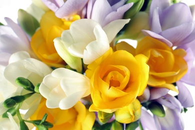 Beautiful bouquet of fresh freesia flowers as background, closeup