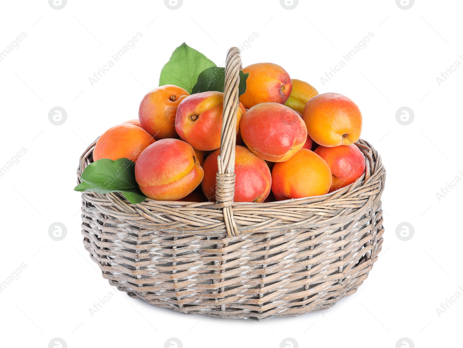 Photo of Delicious ripe apricots in wicker basket isolated on white