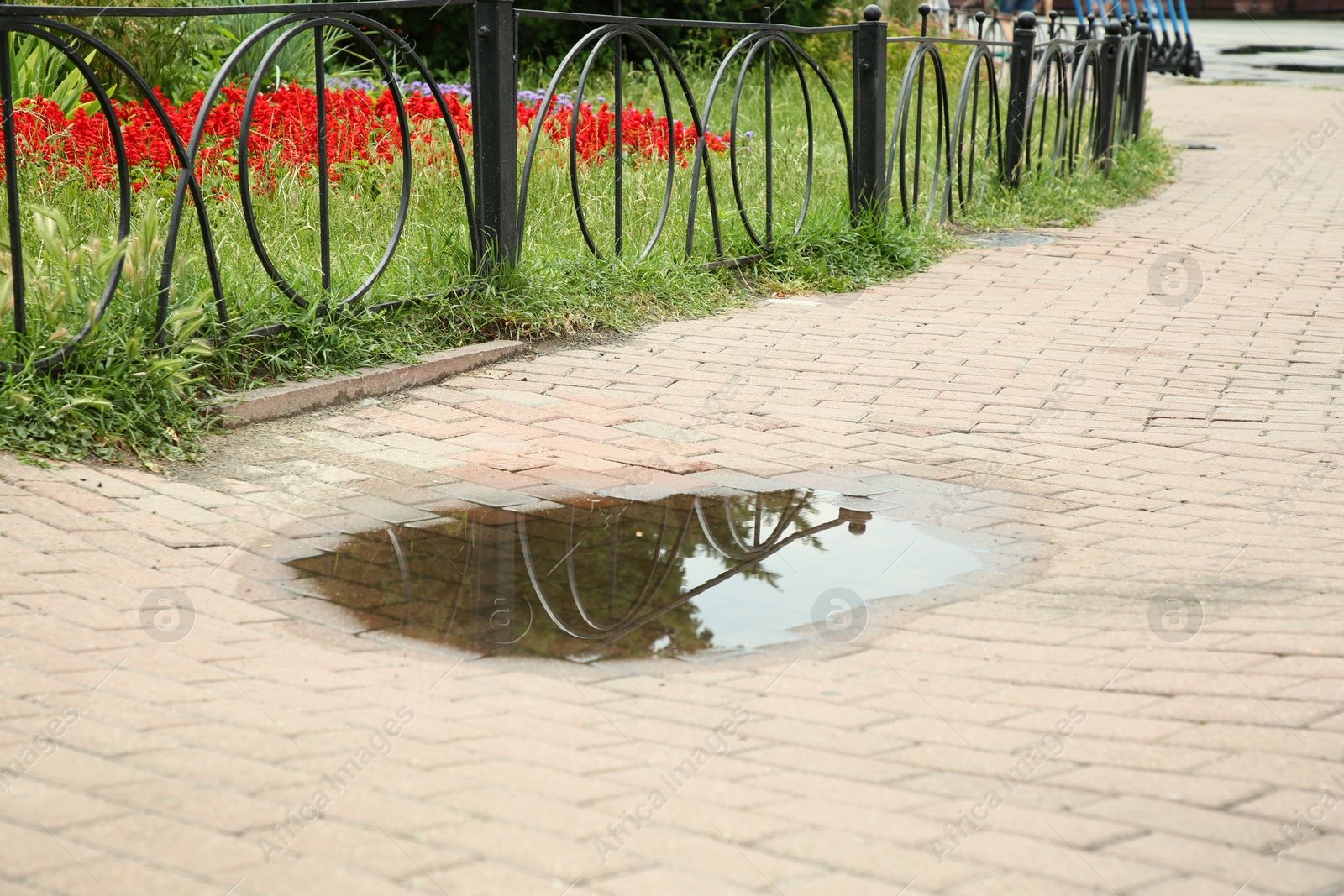 Photo of View of puddle on paving stones outdoors