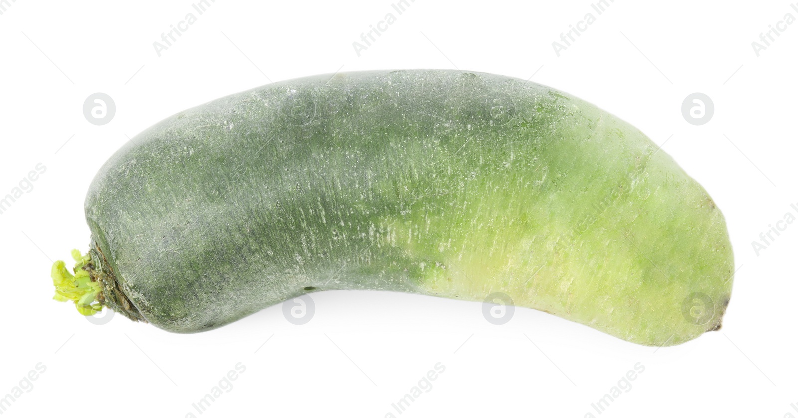 Photo of Whole green daikon radish isolated on white, top view