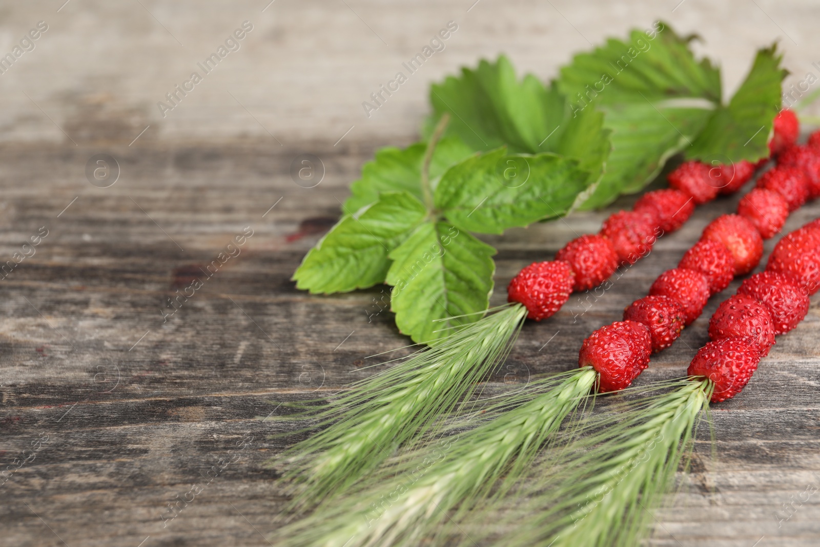 Photo of Grass stems with wild strawberries and leaves on wooden table, closeup. Space for text