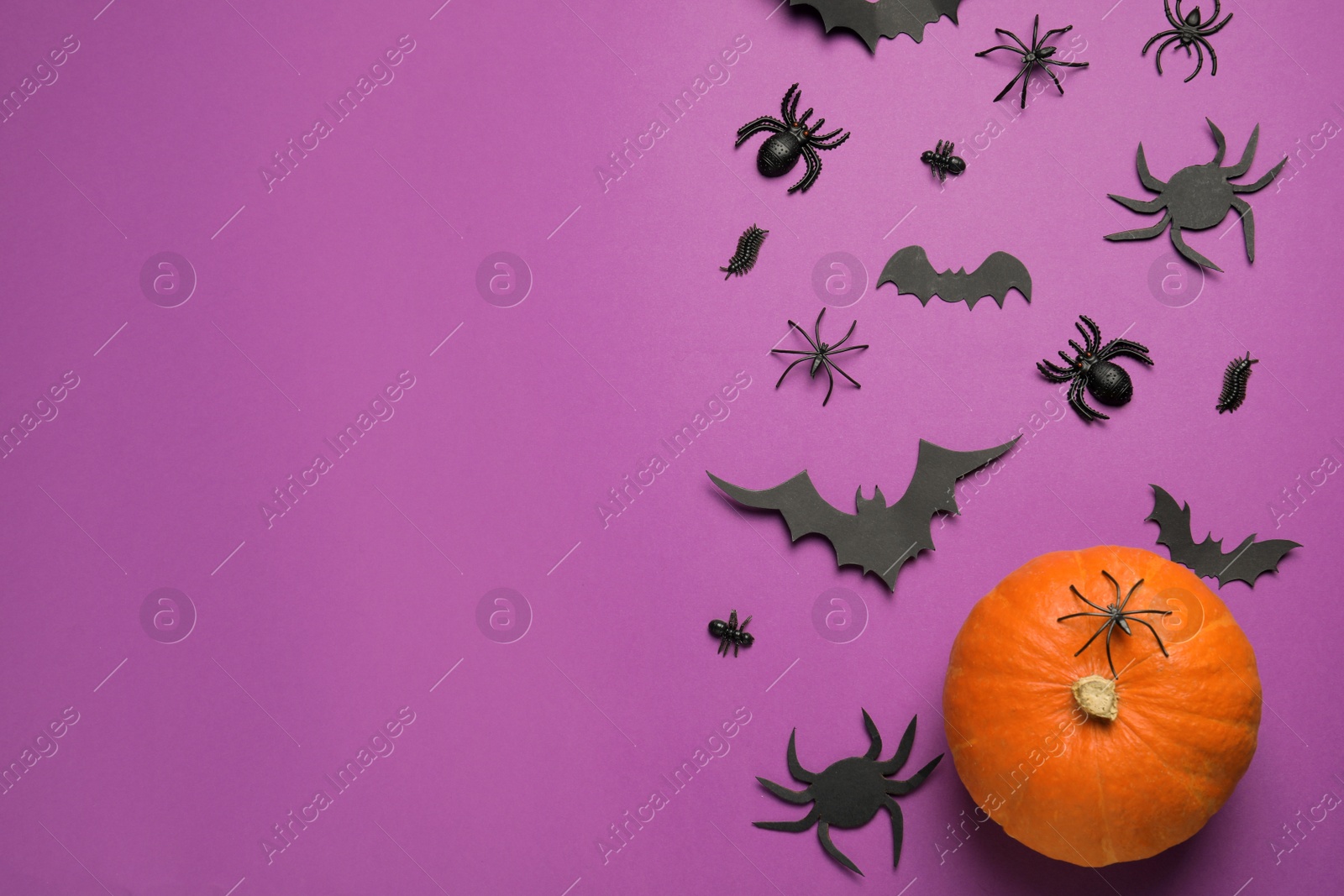 Photo of Flat lay composition with pumpkin, spiders and paper bats on purple background, space for text. Halloween celebration