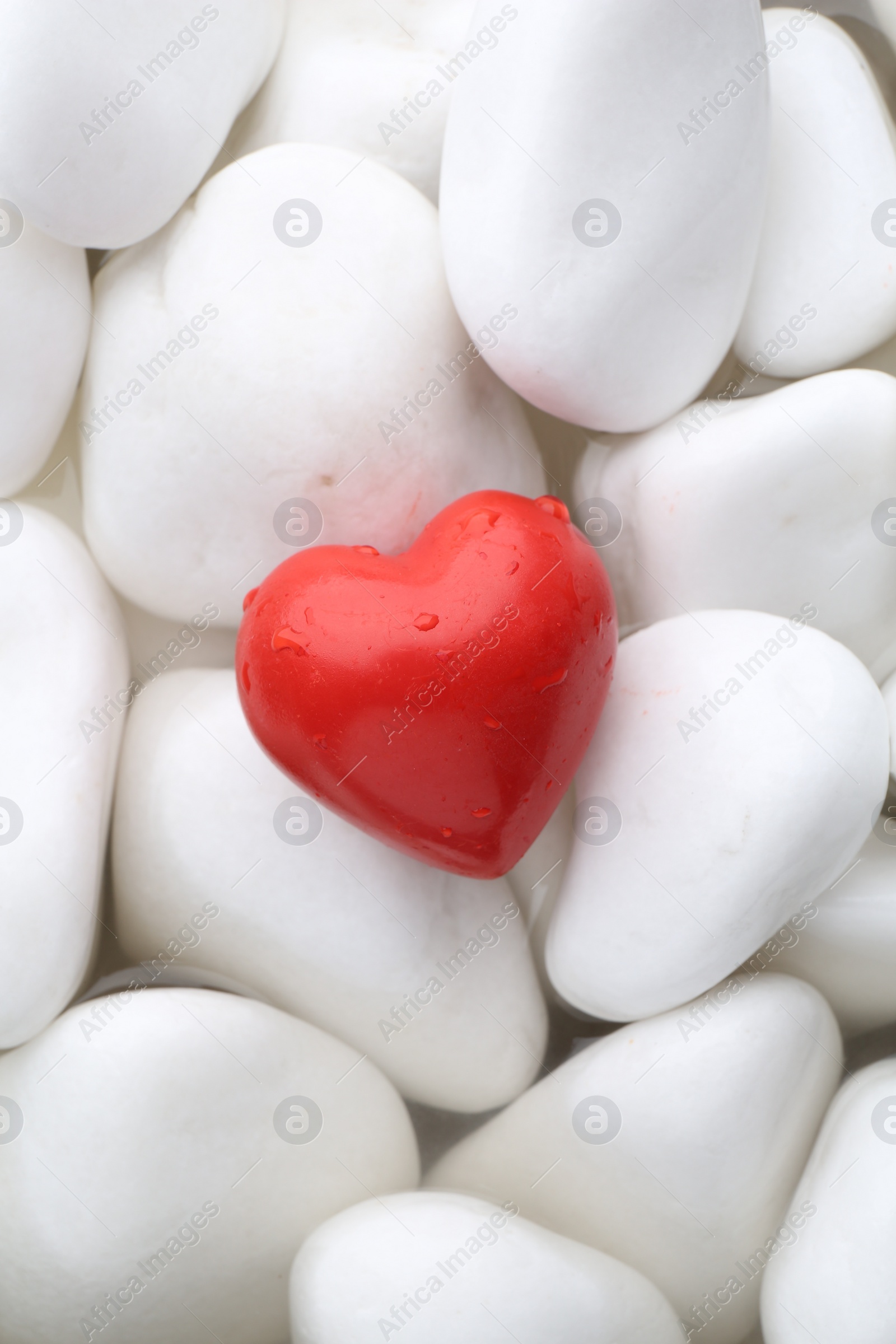 Photo of Red decorative heart on stones and water, top view