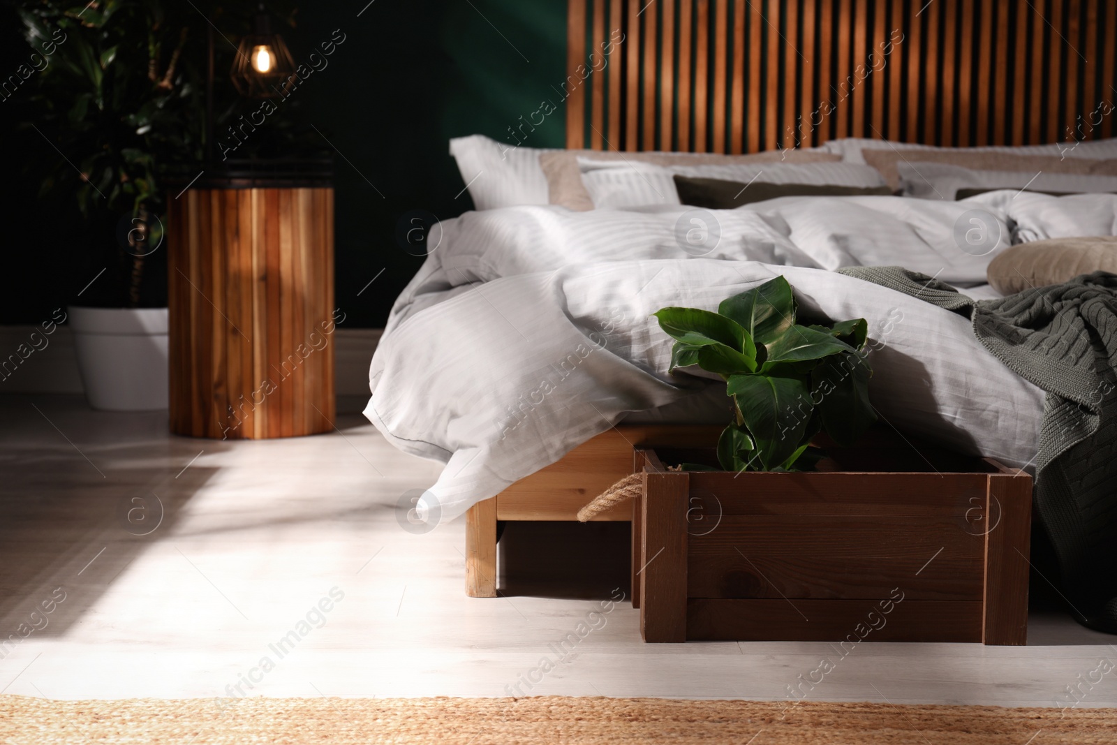 Photo of Houseplant in wooden crate near bed indoors