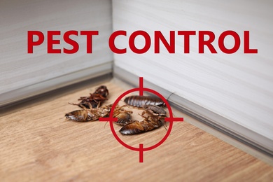 Image of Cockroach with red target symbol on wooden surface. Pest control