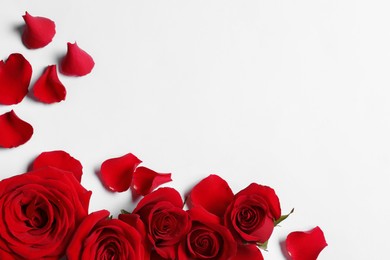 Photo of Beautiful red roses and petals on white background, flat lay. Space for text