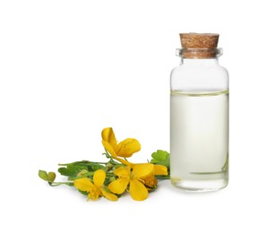 Photo of Bottle of essential oil and celandine on white background