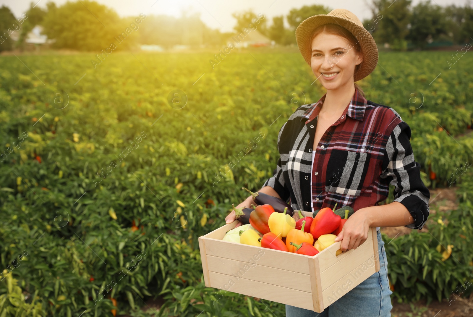 Photo of Farmer with wooden crate full of different vegetables in field. Harvesting time