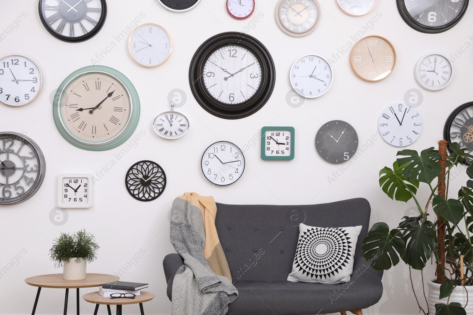 Photo of Comfortable furniture, beautiful houseplant and collection of different clocks on white wall in room